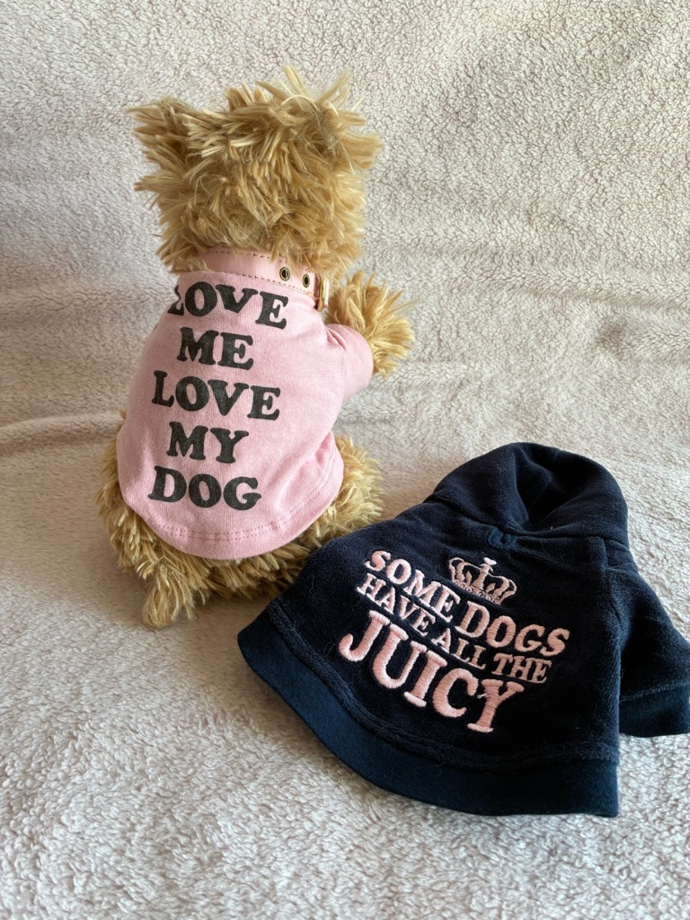 Juicy Couture - Juicy Doggy Rare 2006 Yorkie Plush Dog - Picture 2 of 16